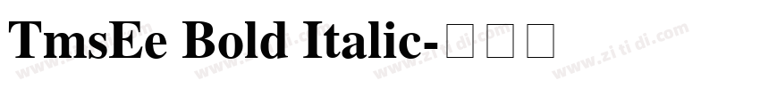 TmsEe Bold Italic字体转换
